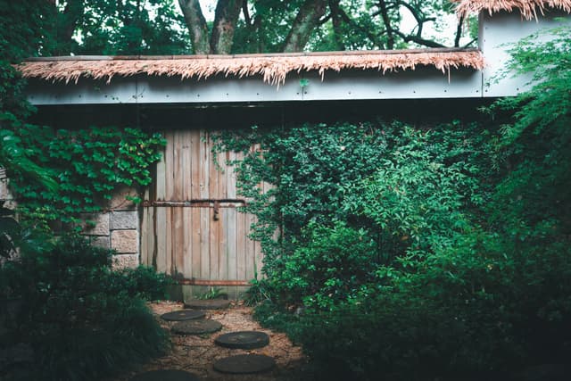 Creeping ivy weaves its way across sun-bleached planks, almost swallowing the barn’s double doors in a tangle of glossy leaves. A row of moss-dappled stepping stones leads through dense undergrowth, where ferns and brambles crowd the narrow approach. Rust flakes from the corrugated metal eaves, hinting at years of quiet neglect, while shafts of pale light filter through overhead branches, painting the wooden façade in soft, shifting patterns. The air feels hushed and heavy with green fragrance, as if this hidden refuge has slipped beyond human reach—an overgrown tableau suspended between abandonment and secret life