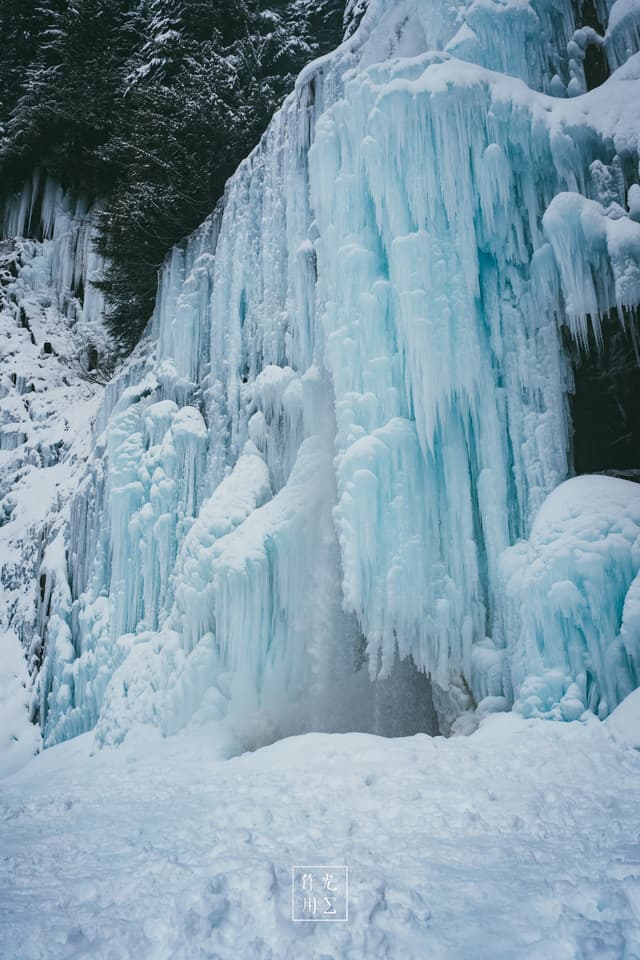 frozen waterfall, icicles, snowfield, rock cliff, evergreen trees