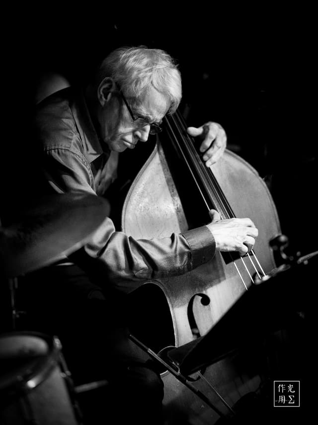 Fingertips dance along the bass’s curving silhouette, the wood’s sunburst grain gleaming under a lone spotlight. Deep shadows carve sharp lines across the musician’s weathered face, his silver hair catching stray beams as he leans in, eyes closed in concentrated reverie. A thin veil of smoke drifts through the intimate space, amplifying the low rumble of each resonant note. Stark black-and-white contrasts freeze this moment of devotion—a timeless dialogue between calloused hands and the instrument’s soul