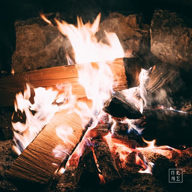 Crackling embers spill molten amber across charred logs as tongues of flame pirouette skyward, licking the rough stone hearth. Wisps of silvery smoke curl into the dim air, carrying the scent of pine and earth. Each glowing fissure in the wood pulses with transient heat, casting flickering shadows that dance along the brick’s rugged texture. The scene hums with a primal warmth—a silent invitation to linger in its hypnotic glow