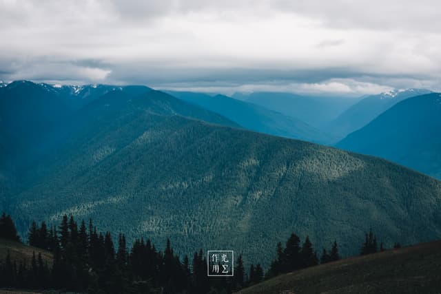 Verdant ridges roll into the distance, their forested slopes fading from deep emerald to misty teal as layers stack beneath a heavy, cloud-laden sky. Wisps of fog cling to higher peaks, softening their jagged outlines and lending the scene an almost dreamlike hush. Diffused light seeps through breaks in the overcast canopy, casting subtle highlights on tree crowns and revealing the terrain’s gentle undulations. The interplay of shadow and haze creates a sense of endless depth, evoking both tranquility and the wild, untamed spirit of remote mountain wilderness