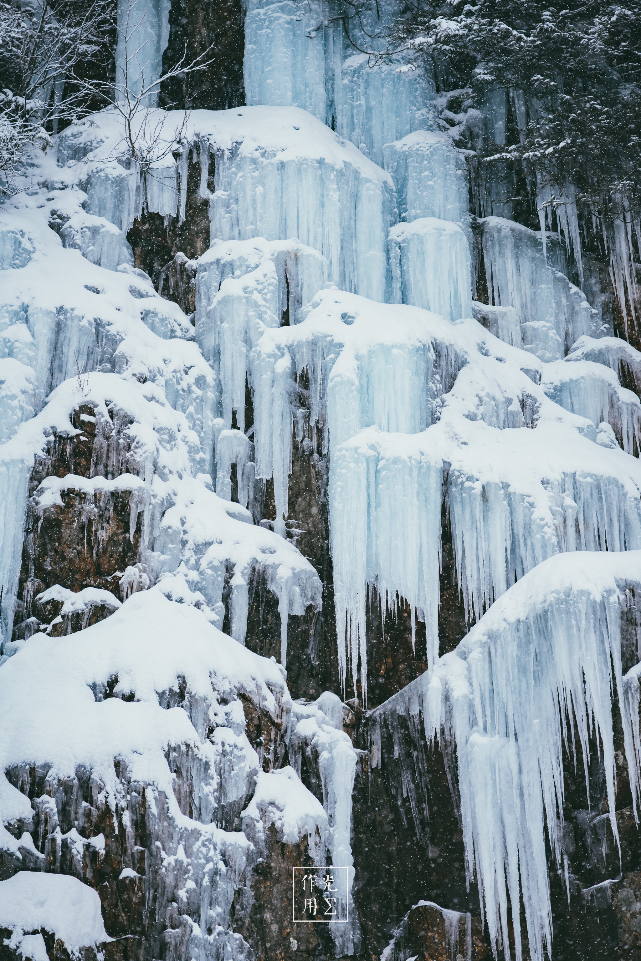 icicles, snow, rock ledges, cliff face, conifer trees
