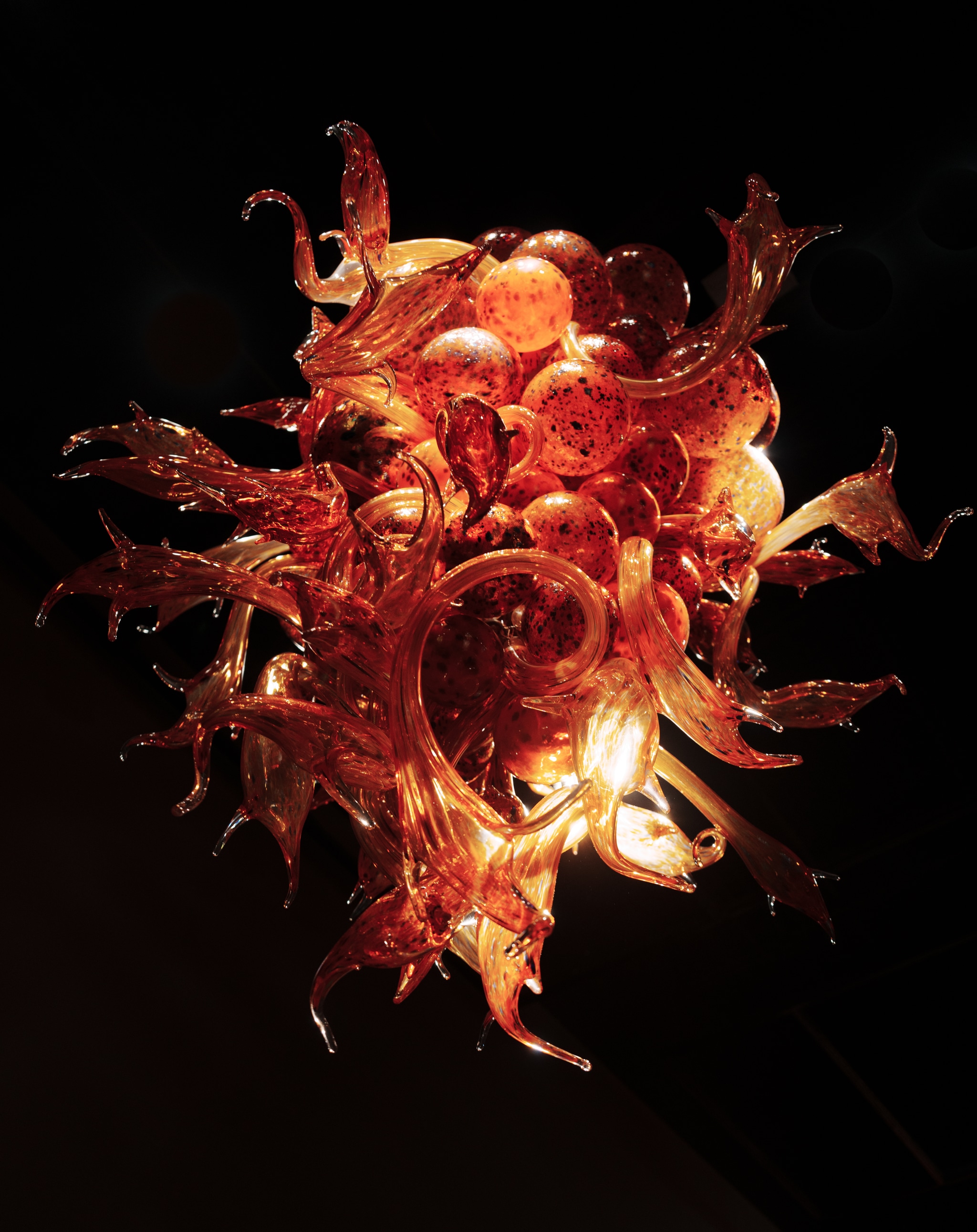 blown glass chandelier, glass tendrils, internal light bulbs, warm amber glow, dark background
