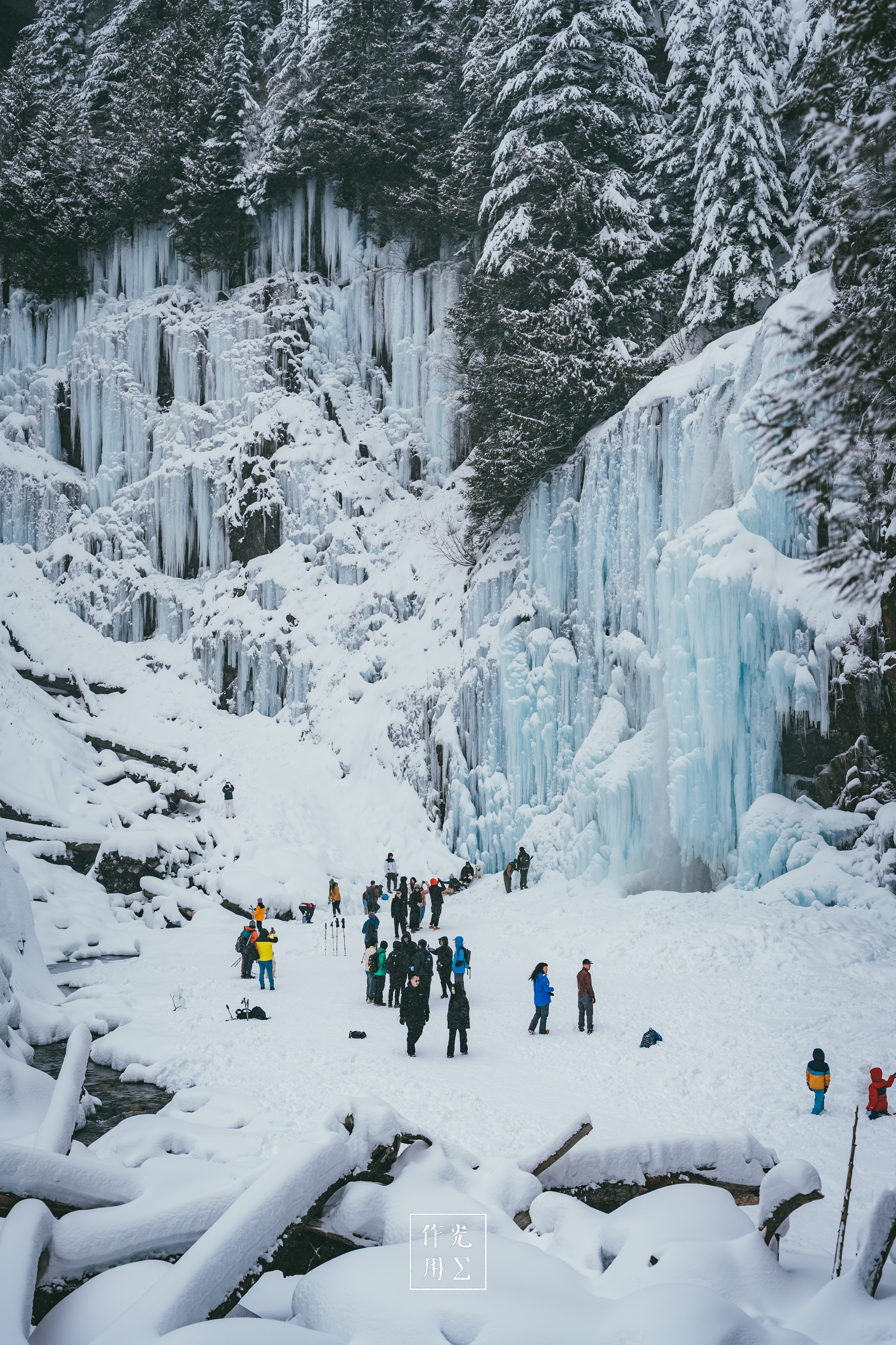 ice formations, snowfield, visitors, evergreen trees, fallen logs