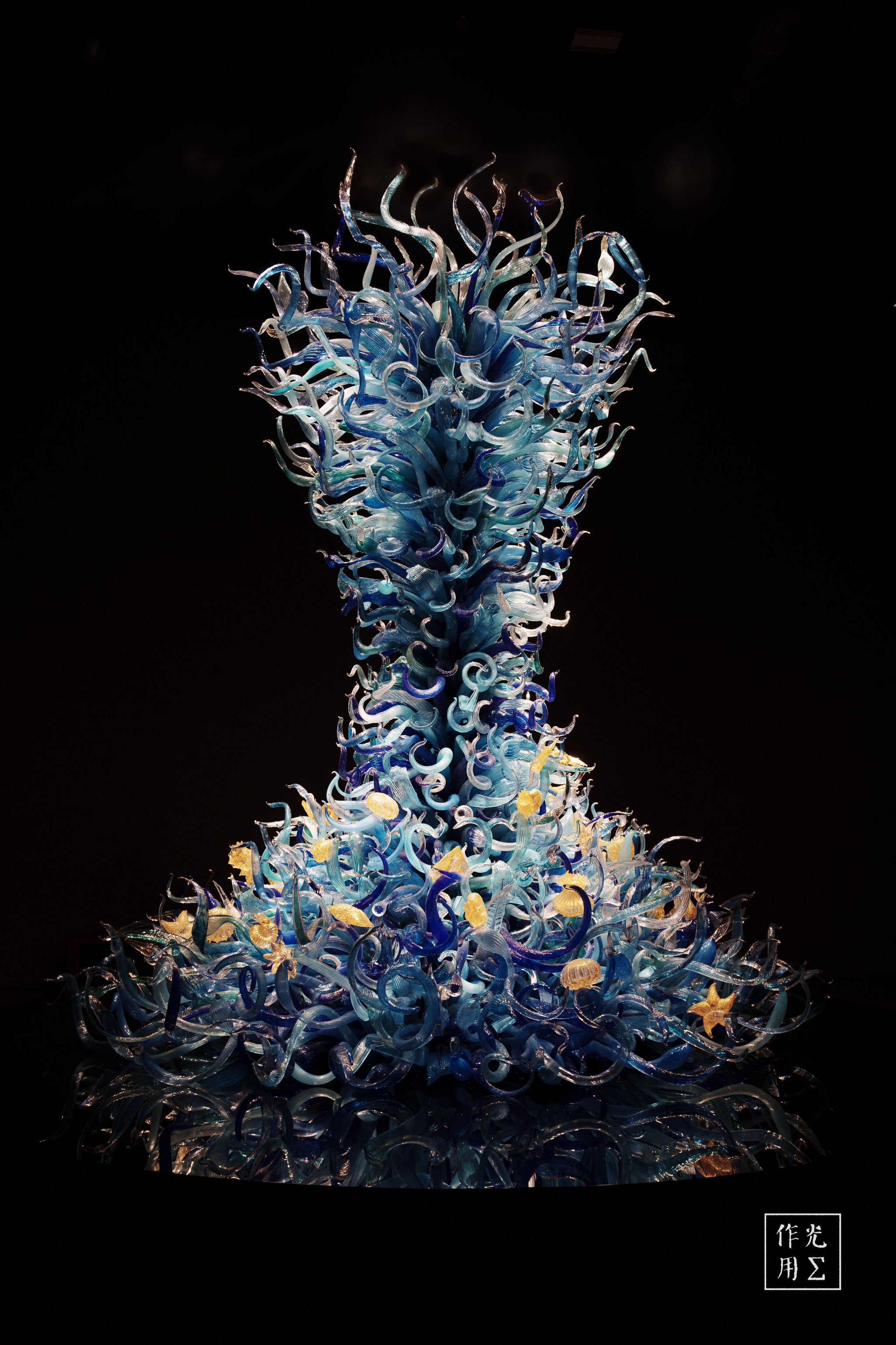 Twining upward in a ballet of glass, delicate azure filaments coil into a corseted torso that flares into a froth of spiraling tendrils. Each ribbon of translucent blue catches stray light, refracting it into ghostly opals and sunlit aquamarines, while clusters of pale gold flecks nestle amid the curls like drifting plankton. Against the pitch-black backdrop, the sculpture hovers between sea-anemone and crystalline gown, its sinuous forms evoking both organic coral growth and a whirlwind frozen in mid-dance. The result is an otherworldly elegance—vibrant, fragile, and alive with silent movement