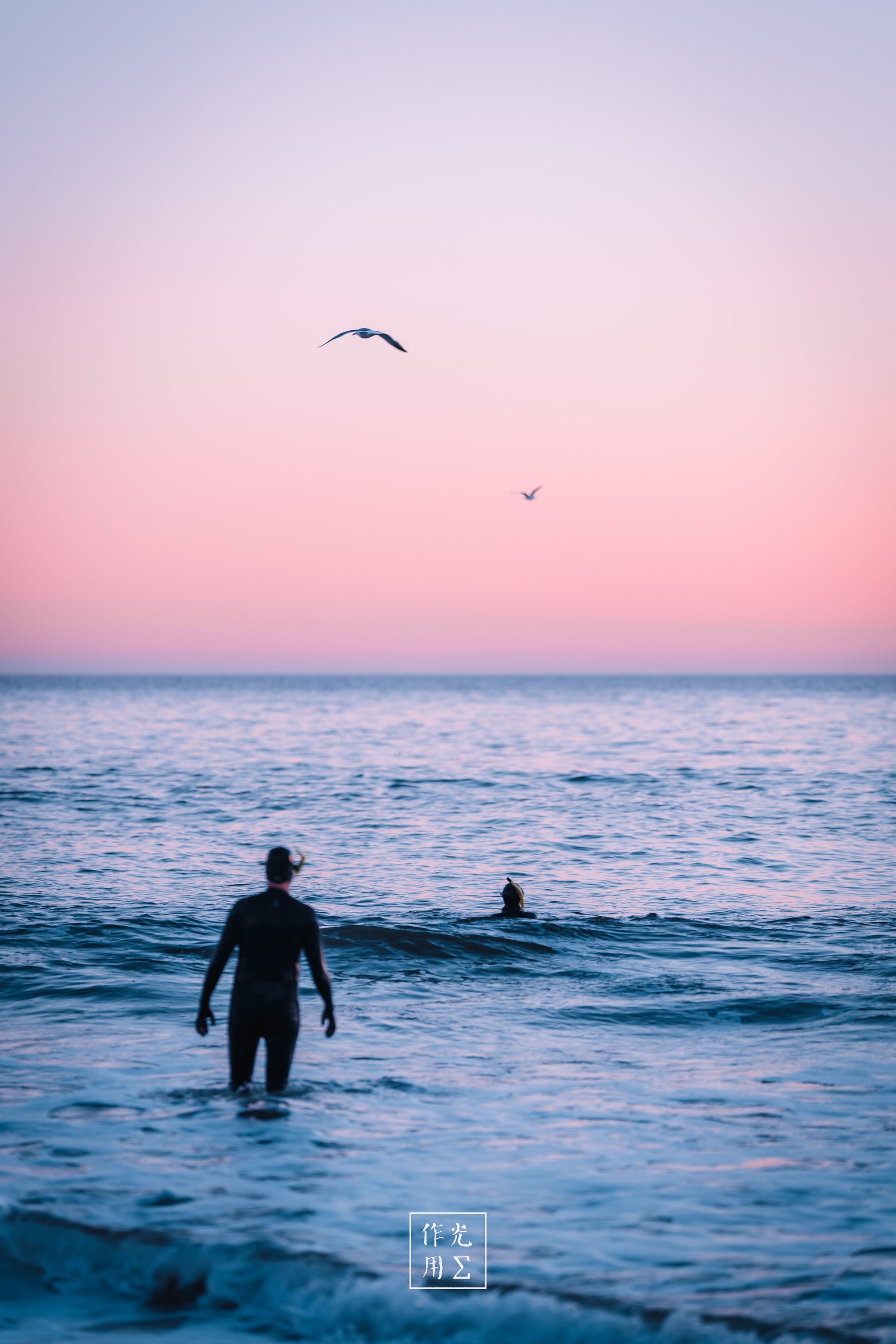 Wading into a pastel-drenched sea, a lone surfer’s silhouette cuts against a cotton-candy sky, board tucked under one arm as dusk’s pink and lavender hues melt into the horizon. Two distant figures bob on gentle swells, while seabirds wheel overhead, adding a whisper of motion to the tranquil expanse. The scene hums with quiet anticipation—a fleeting moment of calm before the next wave ride