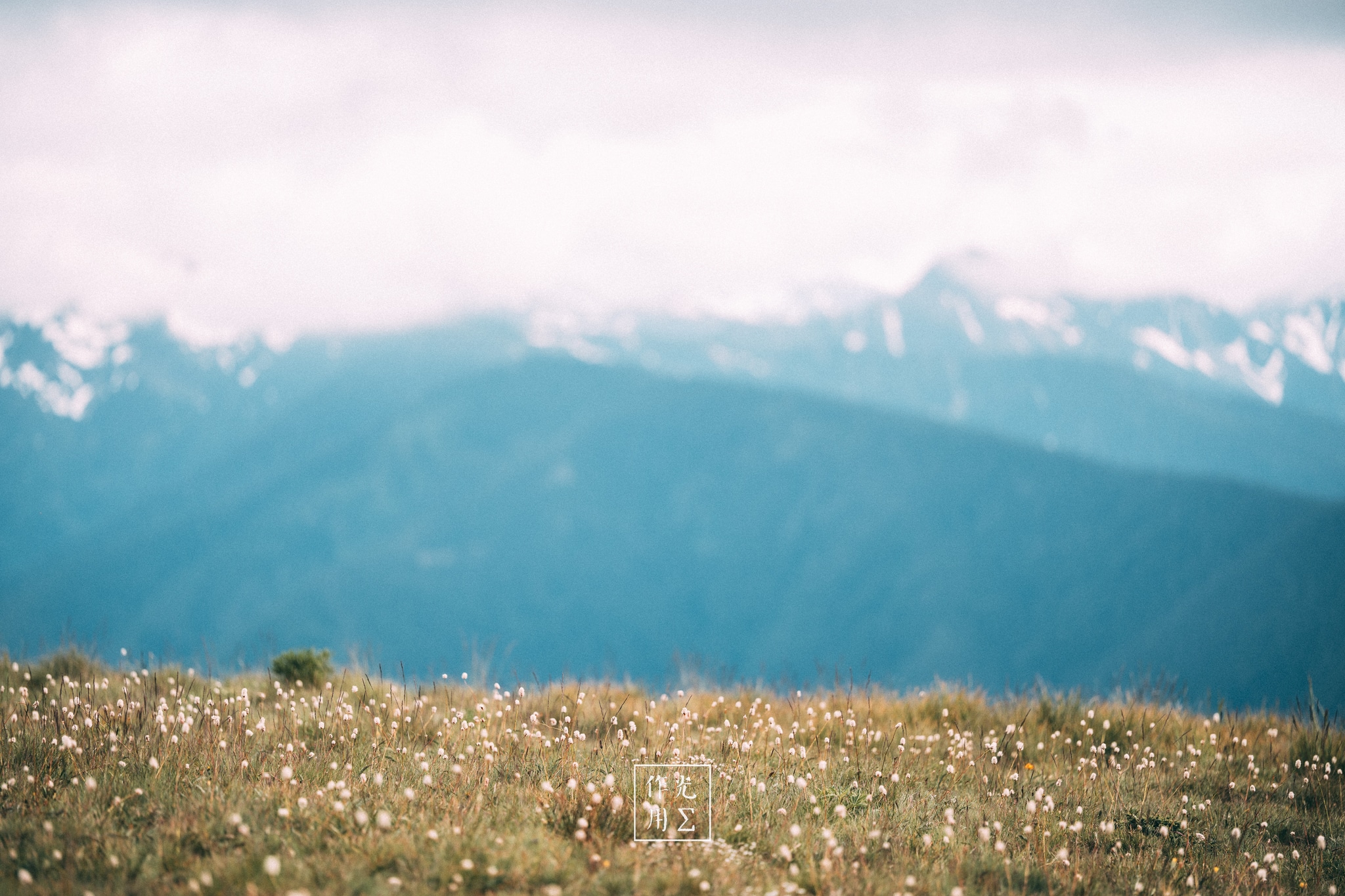 Sunlight shimmers off dew-laden grasses and tiny wildflowers carpeting an alpine meadow, each stalk glowing like spun gold against a backdrop of misty blue ridges. Layers of mountain silhouettes recede in cool lavender haze, while distant snow-capped peaks hover under a pale sky. The scene hums with quiet expansiveness, marrying intimate foreground sparkle to immense, breath-catching vistas